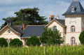 Domaine de la Soucherie, wine estate in the Loire Valley